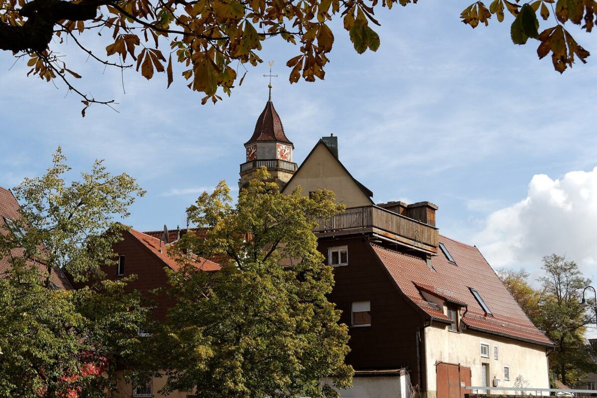 Leonberg Altstadtdaecher Kirche
